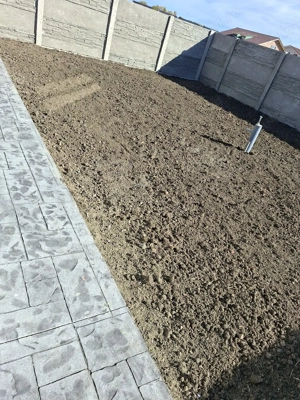 sap grădini cu motocultor  - imagine 3