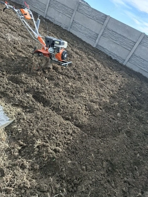 sap grădini cu motocultor  - imagine 4