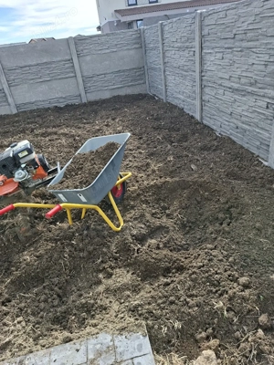 sap grădini cu motocultor  - imagine 2