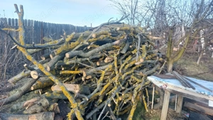 vand lemne pentru foc 