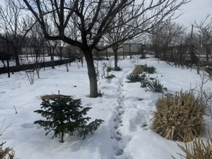 Teren intravilan în Hârșova Jud.constanta - imagine 2