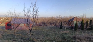 Teren livada - imagine 2