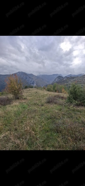 vand teren - imagine 3