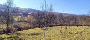 Teren 1800 m  Berbești, Maramureș   front 120 m la drum asfaltat