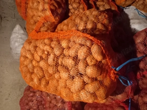 Vand cartofi samanta pentru animale