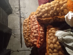 Cartofi consum si samanta