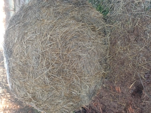 vind baloti de paie si fin 