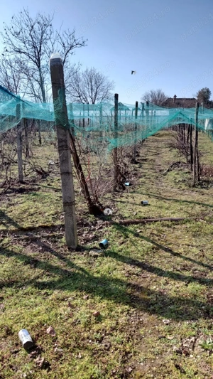 Casa de vânzare  - imagine 5