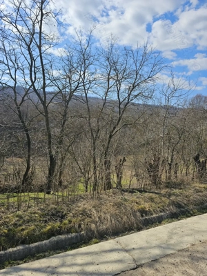 Teren intravilan sat Pocreaca com Schitul Duca Iasi - imagine 3