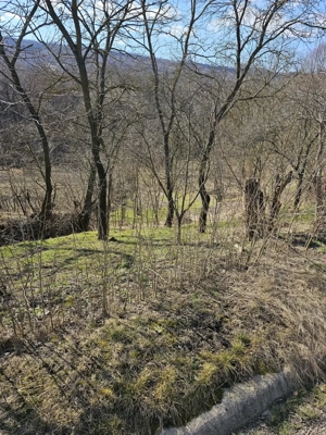 Teren intravilan sat Pocreaca com Schitul Duca Iasi - imagine 2