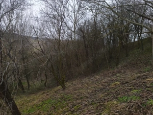 Vand casa cu teren si livada in Sic, Jud. Cluj! - imagine 5