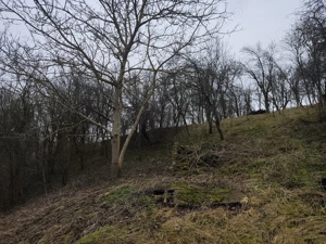 Vand casa cu teren si livada in Sic, Jud. Cluj! - imagine 4