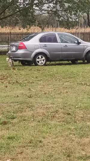 Vând Chevrolet Aveo - imagine 2