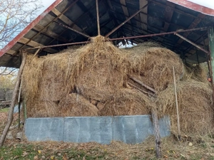 Vand fan -baloti 120x120