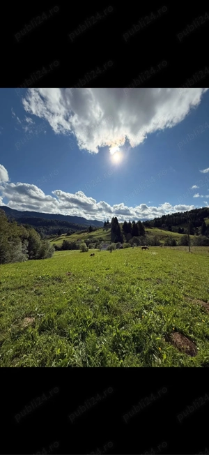 Vând teren la Colibița - imagine 5