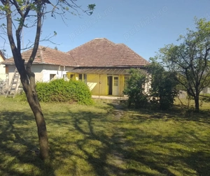 Casă în Viile Satu Mare  - imagine 5