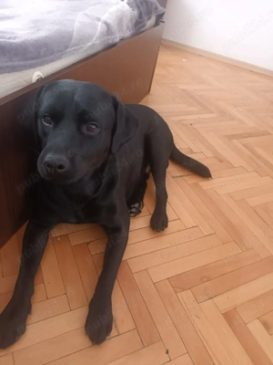 De vânzare urgent  - imagine 4