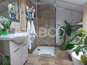 Apartament renovat 105mp 3 camere curte proprie 340mp in acte Cisnadie - imagine 20