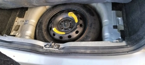 vand Panda - imagine 3