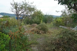 Vand casa cu 3 camere și dependințe in Câmpia Turzii- Sâncrai - imagine 3