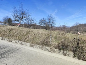 Malu cu Flori | Teren Intravilan 1457 m  - imagine 2