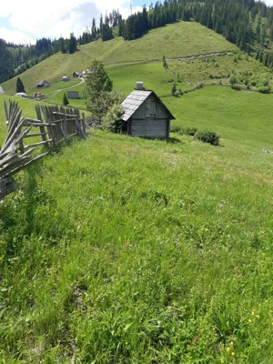 Teren 7 Hectare Brodina Suceava   Parțial Intravilan, Casă + Anexe, Zonă de Munte | Ocazie - imagine 5