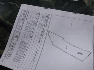 Teren 7 Hectare Brodina Suceava   Parțial Intravilan, Casă + Anexe, Zonă de Munte | Ocazie - imagine 2
