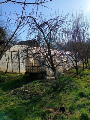 Vând casă in Comuna Ulmeni sat Chelinta - imagine 5
