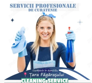 servicii curatenie Tara Făgarașului