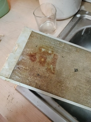 Echipa de două fete oferim servicii de curățenie în orașul Galați și Brăila 