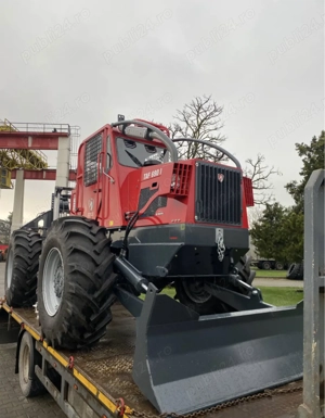 Taf Perkins 2023 - imagine 3