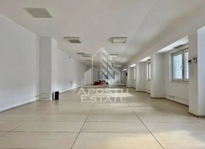 Casa individuală 7 camere de inchiriat , Balcescu-Timisoara - imagine 8