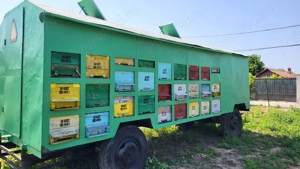 Pavilion omologat apicol