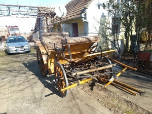 vind trasura de 1 sau 2 cai - imagine 5