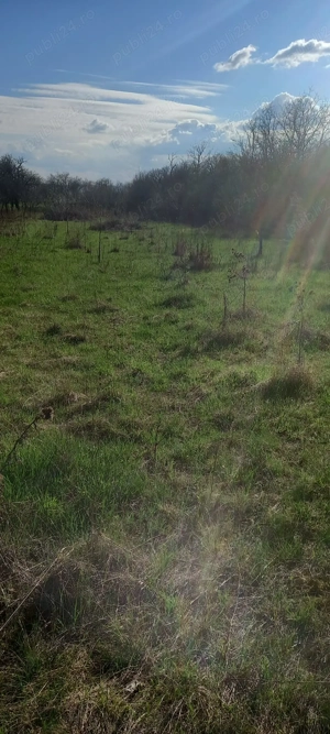 Teren intravilan de vanzare - imagine 3