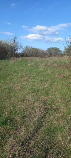 Teren intravilan de vanzare