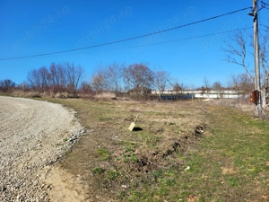 Teren intravilan Paleu 647 mp - imagine 9