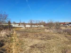 Teren intravilan Paleu 647 mp - imagine 8