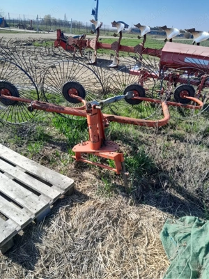 Coasa si grebla - imagine 4