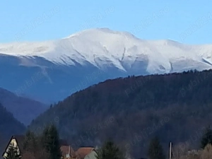 teren la munte Rucar-Moeciu-Bran - imagine 2