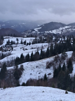 teren la munte Rucar-Moeciu-Bran - imagine 7
