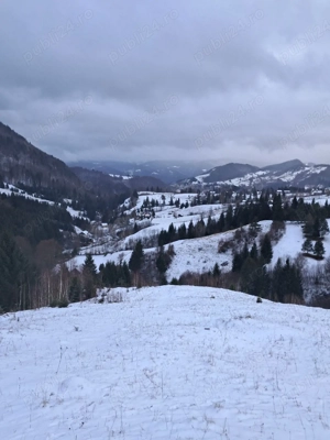 teren la munte Rucar-Moeciu-Bran - imagine 5