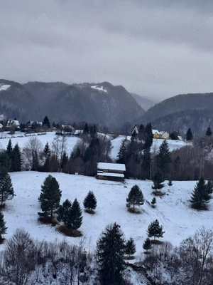 teren la munte Rucar-Moeciu-Bran - imagine 6