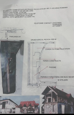 Ferma de vânzare 8 hectare în orașul Pecica jud Arad