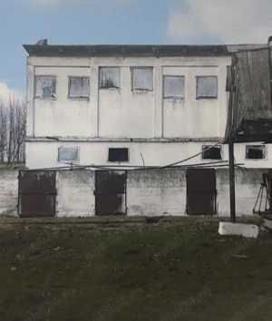 Ferma de vânzare 8 hectare în orașul Pecica jud Arad - imagine 4