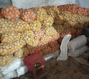 Cartofi pt consum albi stare buna