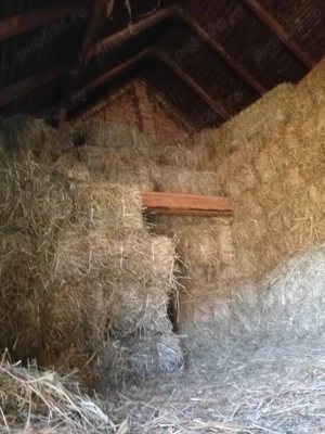 Vânzare baloți de fân.