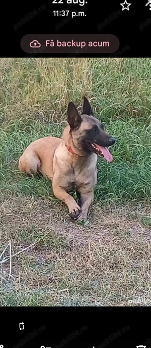 100euro mascul - imagine 4