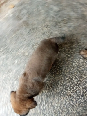 100euro .... - imagine 3