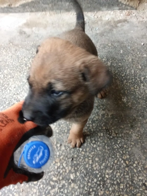 100euro mascul - imagine 3